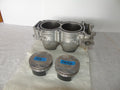 2024 + Polaris RZR1000 XP ASM Cylinder Assembly & Matching Pistons OEM# 3024167